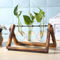 Glass and Wood Vase Planter Table Desktop